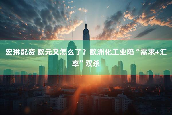 宏琳配资 欧元又怎么了？欧洲化工业陷“需求+汇率”双杀